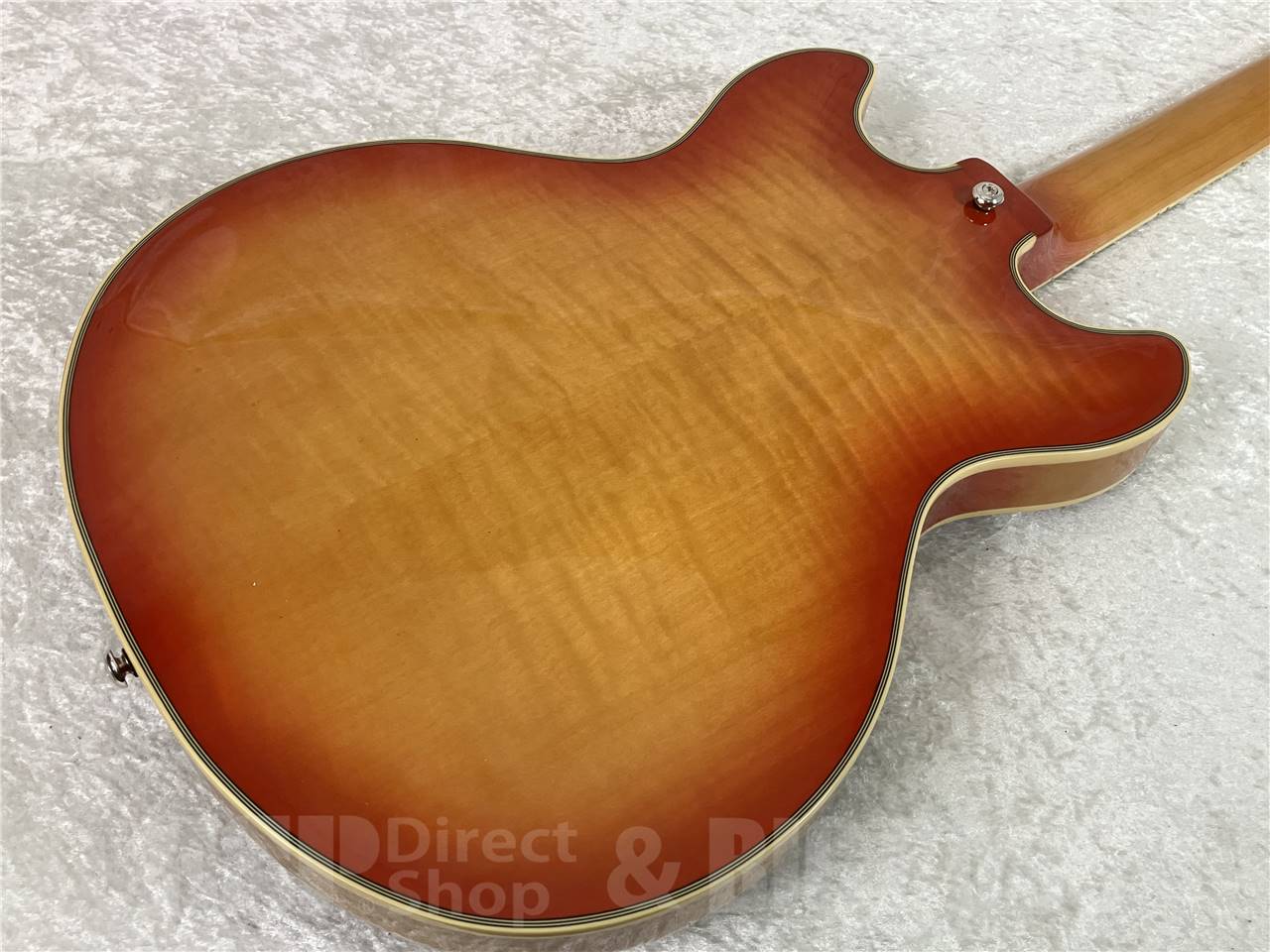 【即納可能】D'Angelico(ディアンジェリコ) Premier Mini DC XT / Honey Burst お茶の水駅前店・別館 - 7