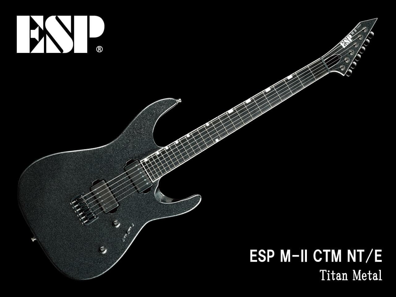 【受注生産】ESP(イーエスピー) M-II CTM NT/E (Titan Metal)