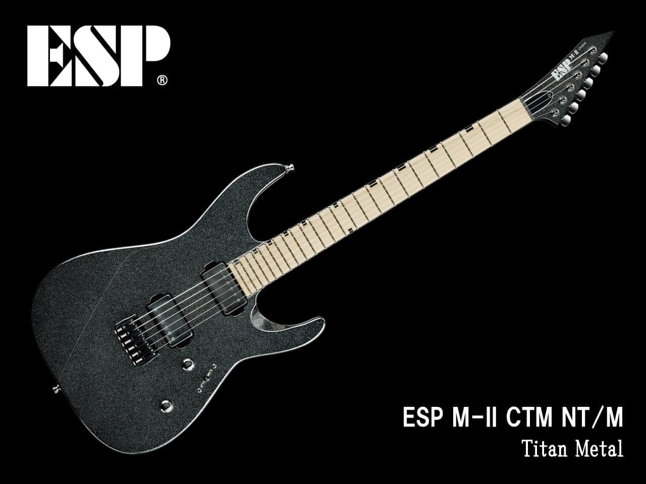 【受注生産】ESP(イーエスピー) M-II CTM NT/M (Titan Metal)