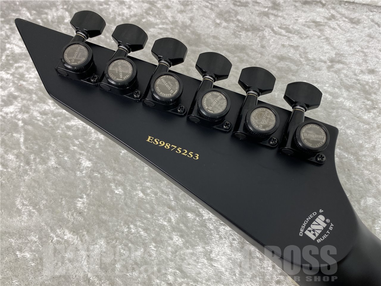 【即納可能】E-II(イーツー) HORIZON NT-II / See Thru Black Cherry Sunburst お茶の水駅前店(東京) - 10