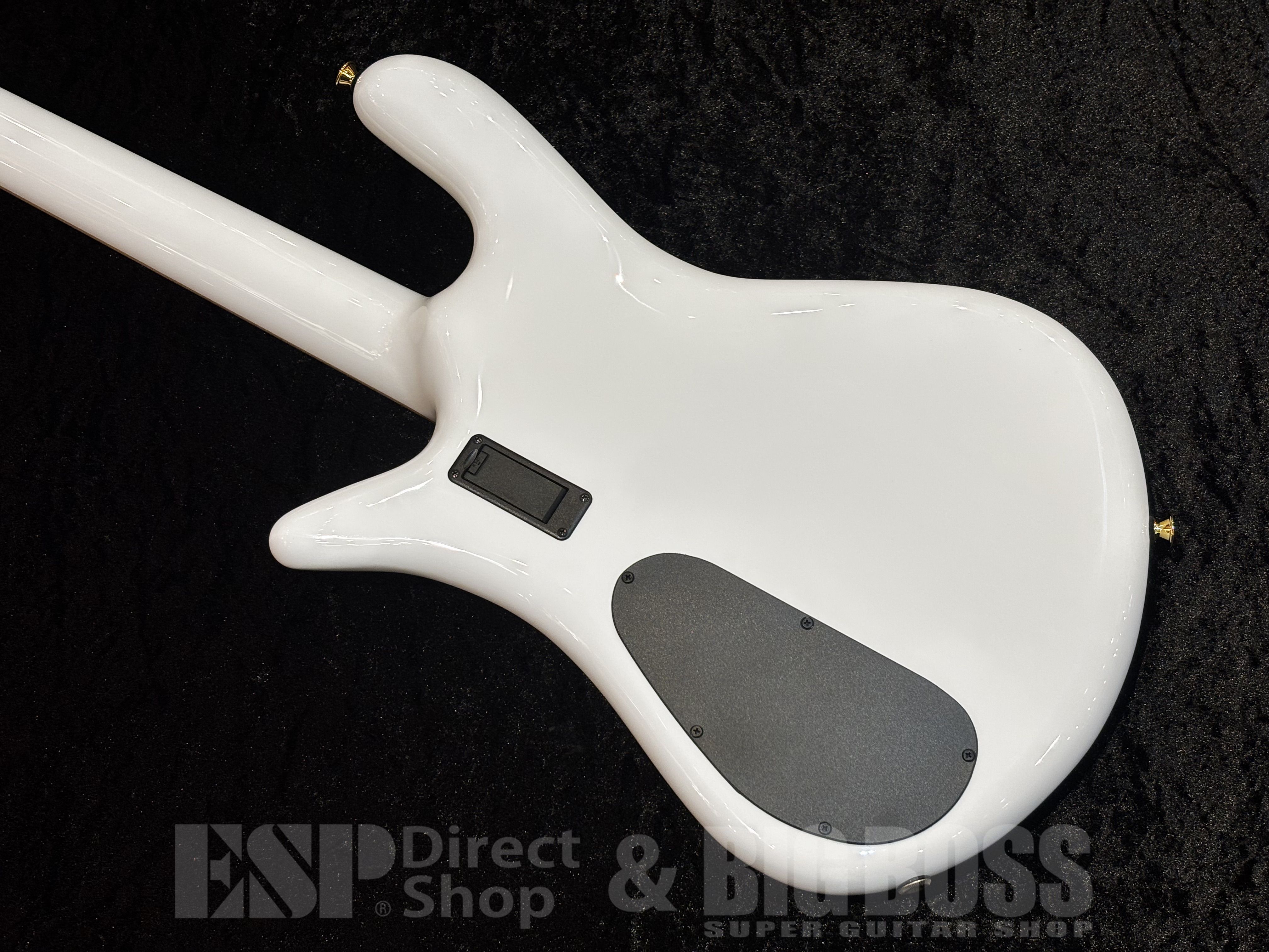 【即納可能】Spector(スペクター) Euro 4 CST Japan Exclusive【Black & Blue w/White Back Gloss】福岡店 - 8