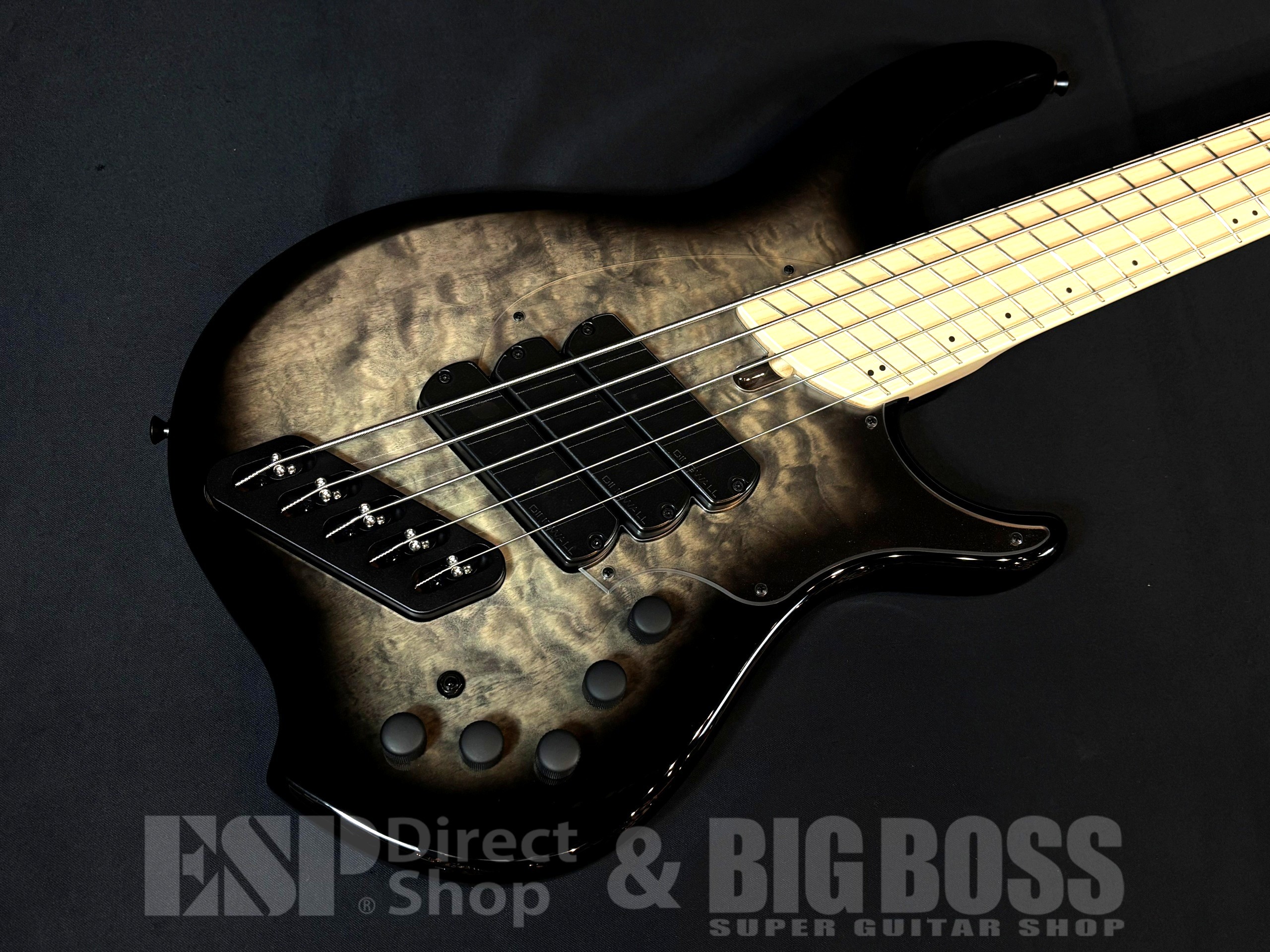 【即納可能】DINGWALL (ディングウォール) Combustion CC3 5st / 2-Tone Blackburst 大阪店 - 2