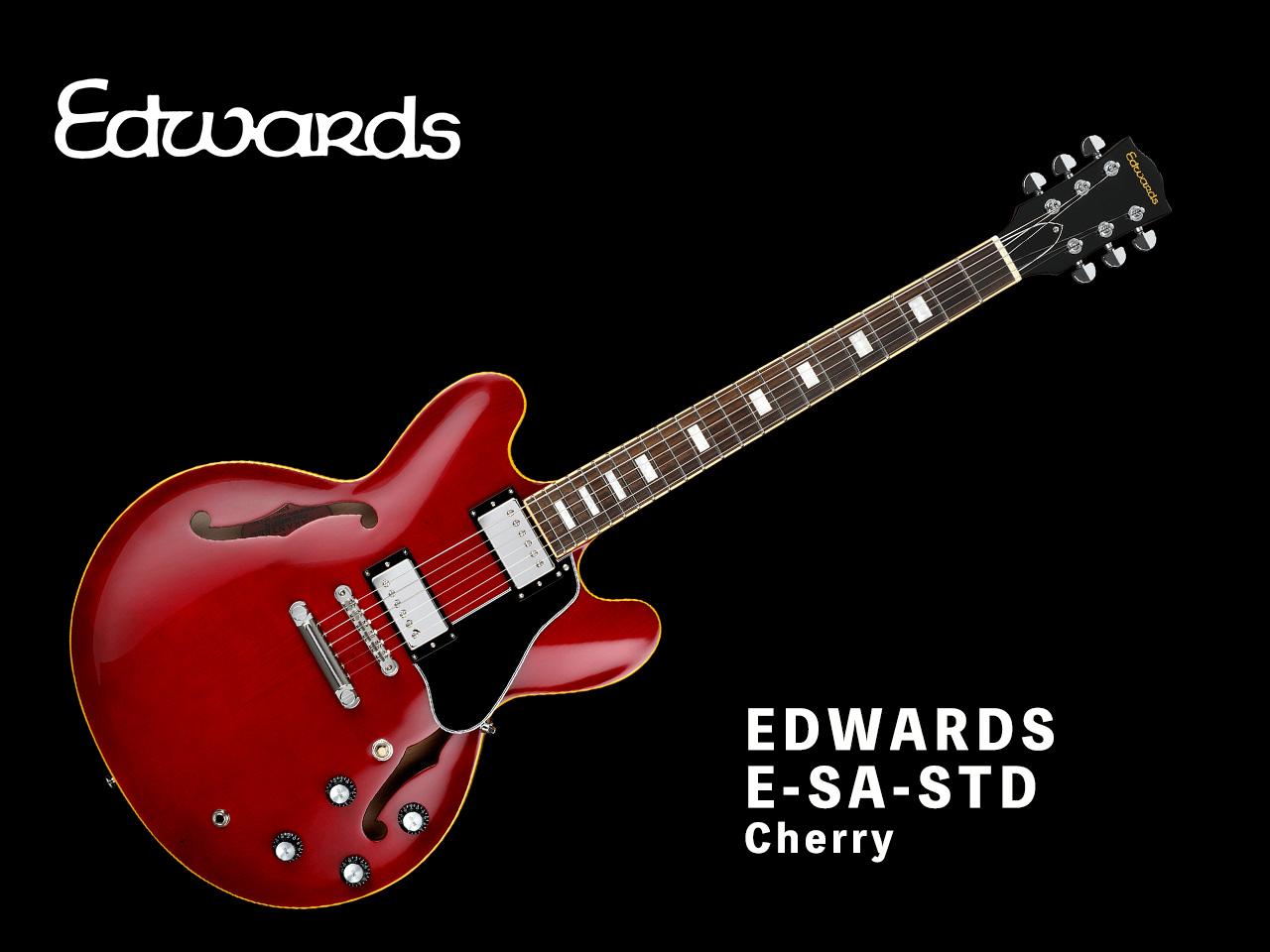 【受注生産】EDWARDS(エドワーズ) E-SA-STD Cherry