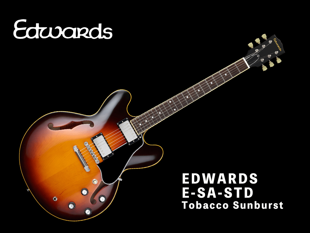 【受注生産】EDWARDS(エドワーズ) E-SA-STD Tobacco Sunburst