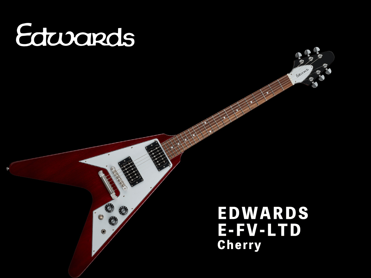 【受注生産】EDWARDS(エドワーズ) E-FV-LTD Cherry