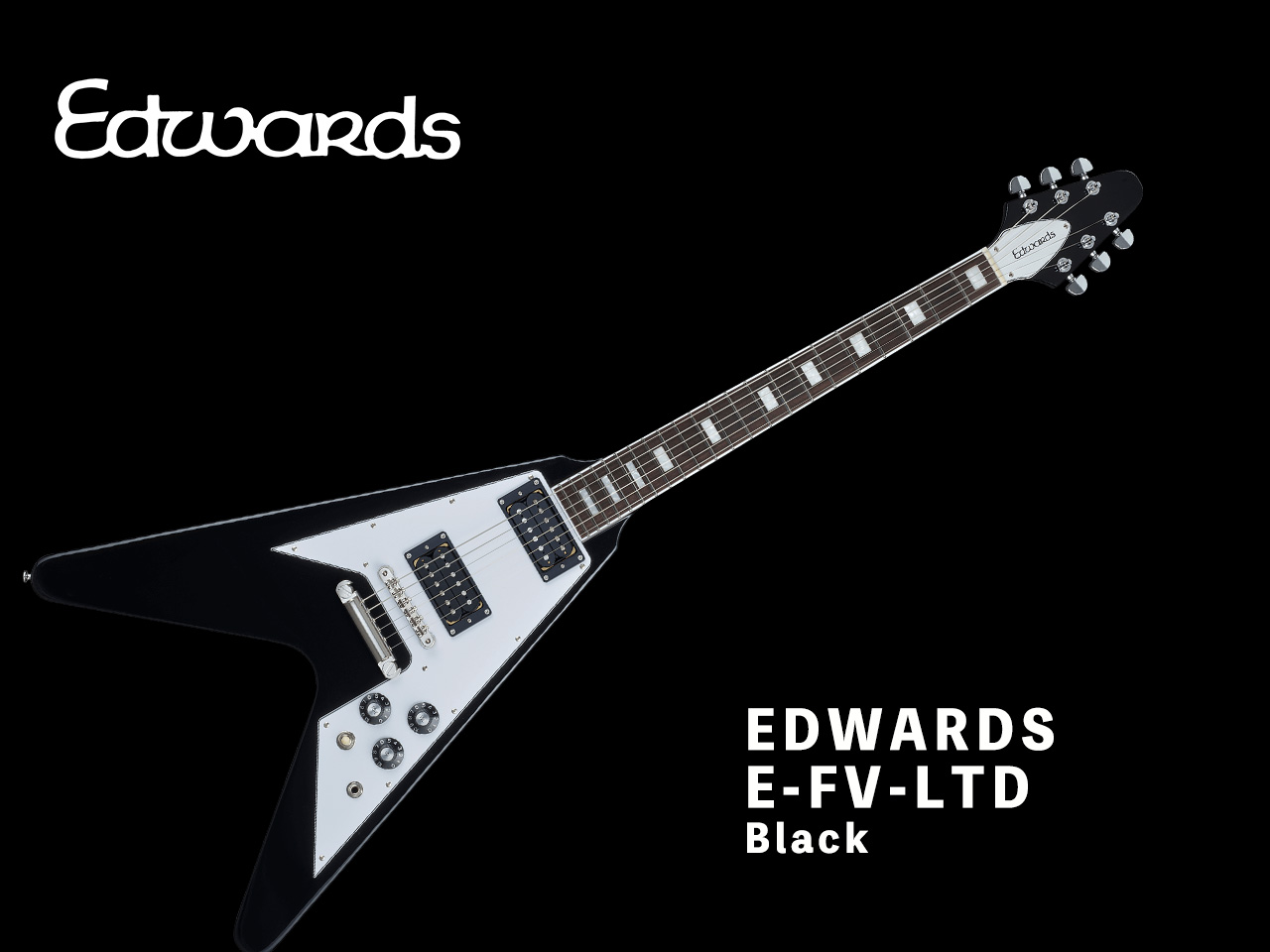 【受注生産】EDWARDS(エドワーズ) E-FV-LTD Black