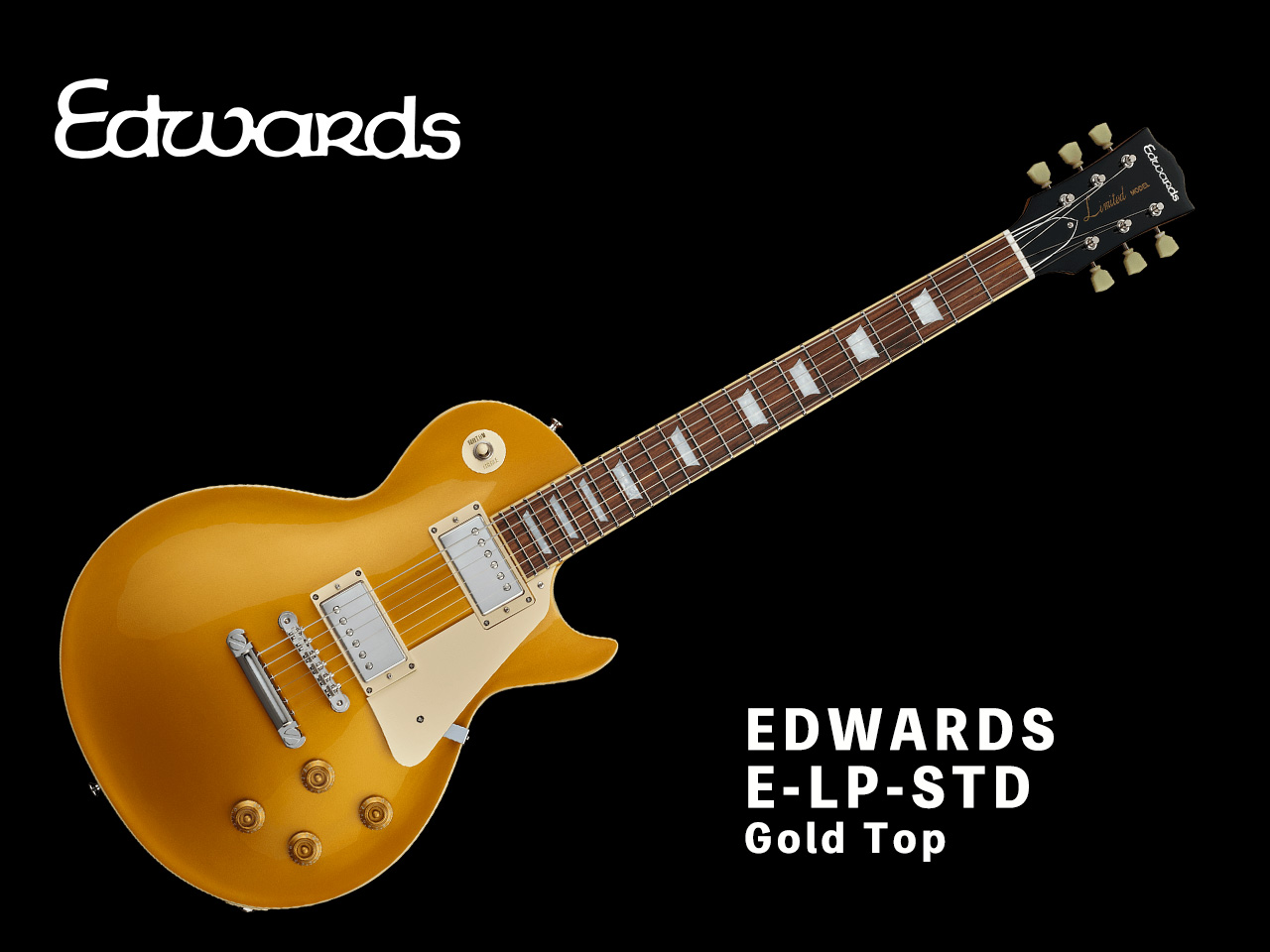 【受注生産】EDWARDS(エドワーズ) E-LP-STD Gold Top