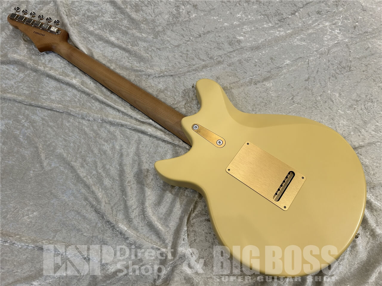 【即納可能】Eastman(イーストマン)DC'62-DS / Desert Sand 仙台店 - 6