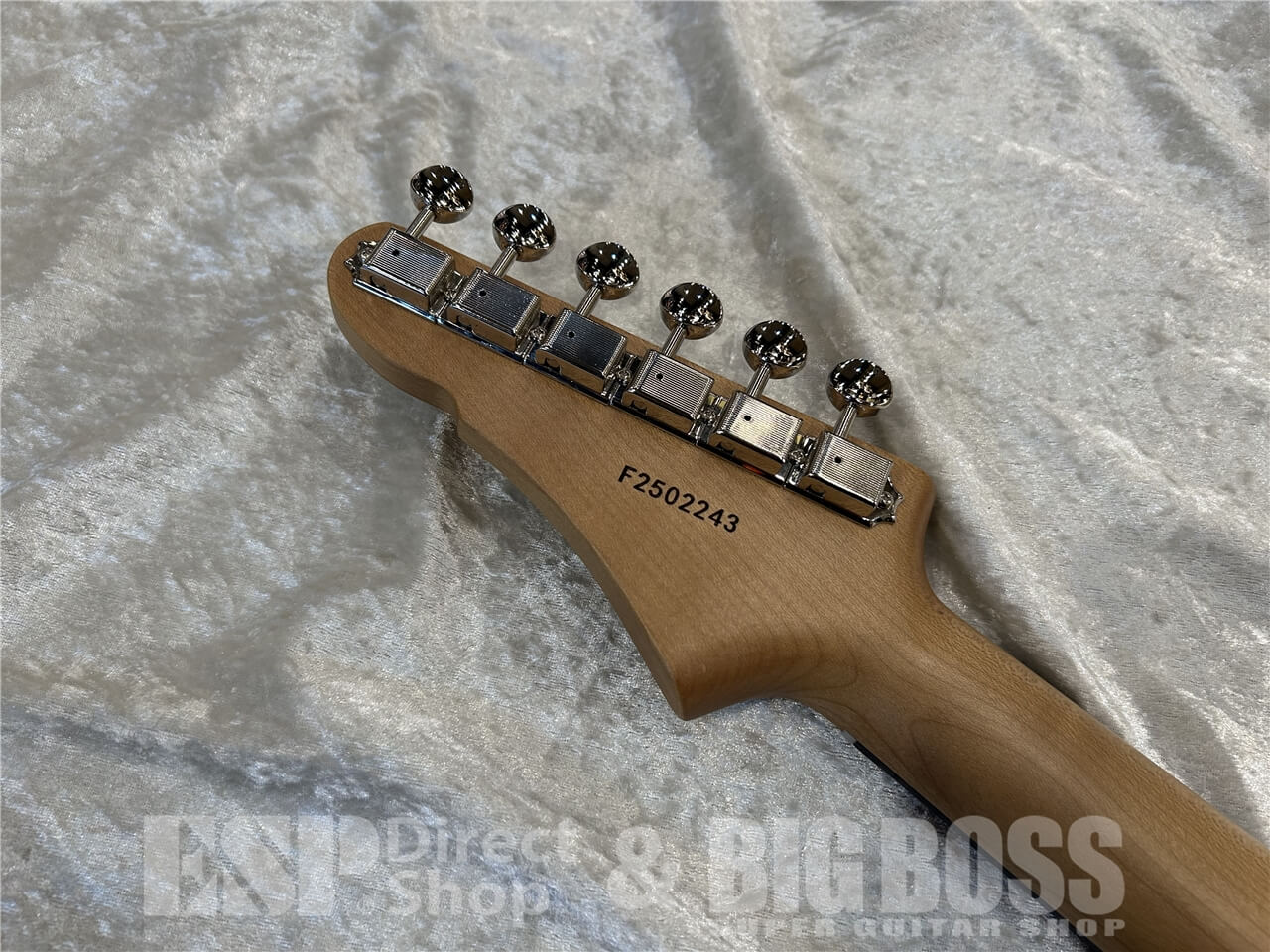 【即納可能】Eastman(イーストマン)DC'62-DS / Desert Sand 仙台店 - 8