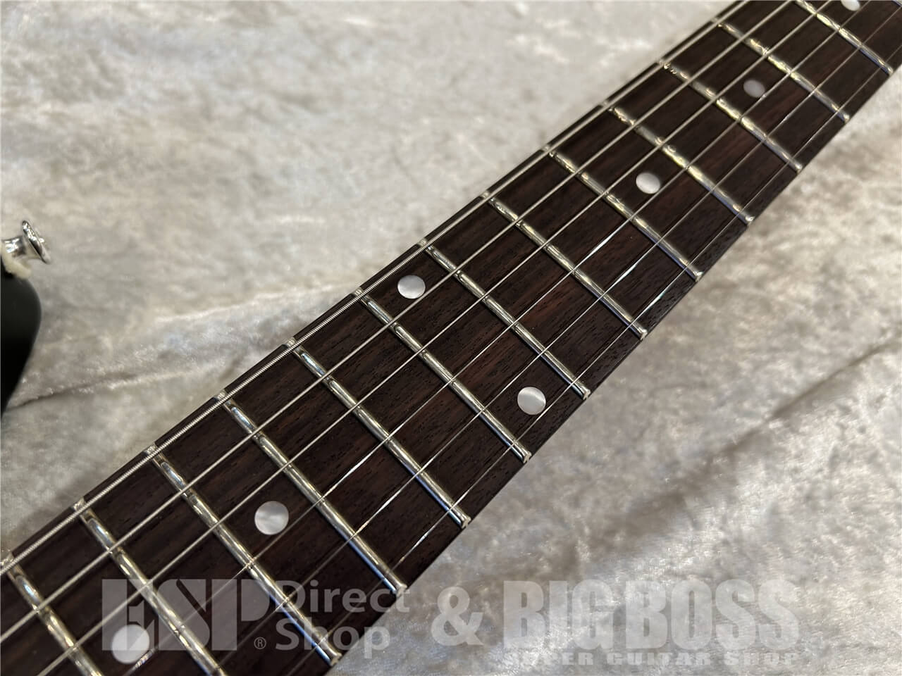 【即納可能】Eastman(イーストマン)DC'62-MB / Moss Black 仙台店 - 4