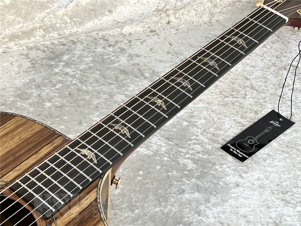 【即納可能】Bromo BAR4GCE  ( エレクトリックアコースティックギター) お茶の水駅前店・別館 - 5