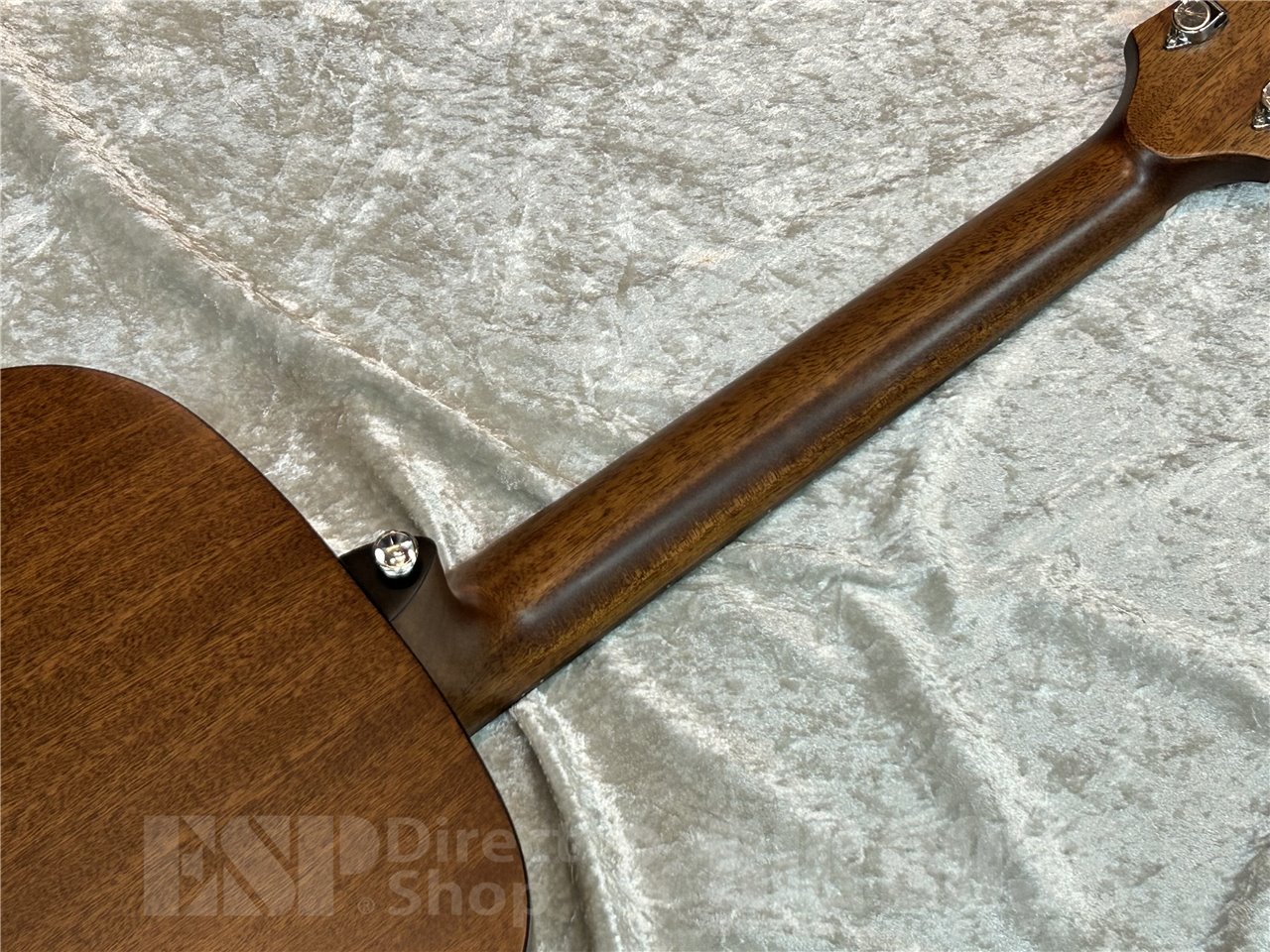 【即納可能】Zemaitis (ゼマイティス) CAF-90H (Gloss White) - 7