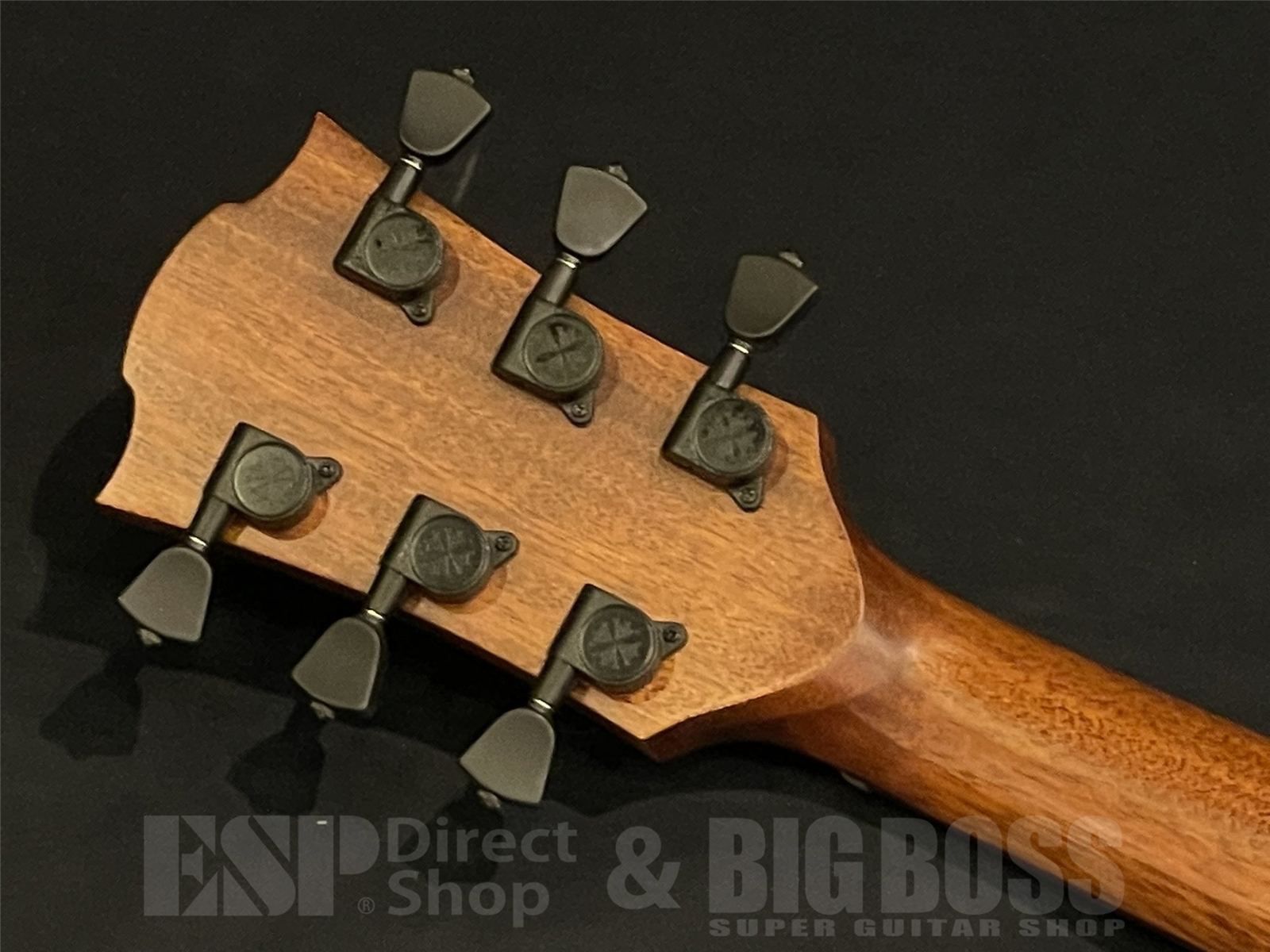 【即納可能】LAG Guitars(ラグギターズ) T118ACE / BLACK 京都店 - 11