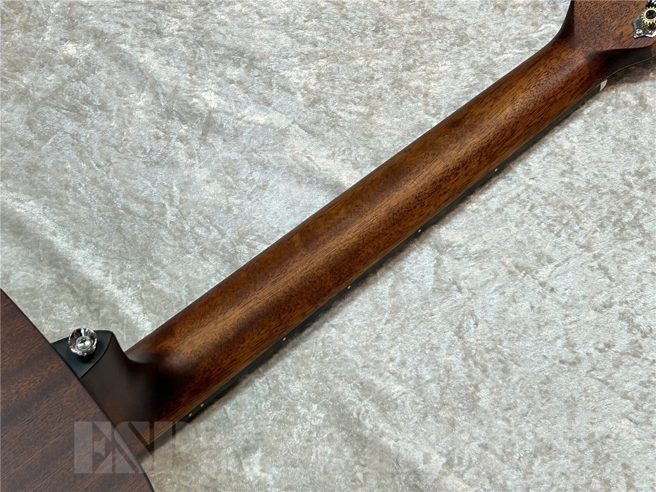【即納可能】Morris F-1 (Natural) 広島店 - 7