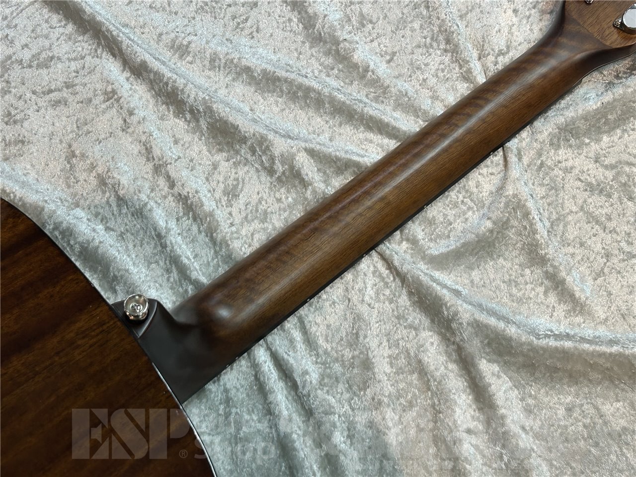 【即納可能】Morris M-025 (Cherry Sunburst) 広島店 - 7