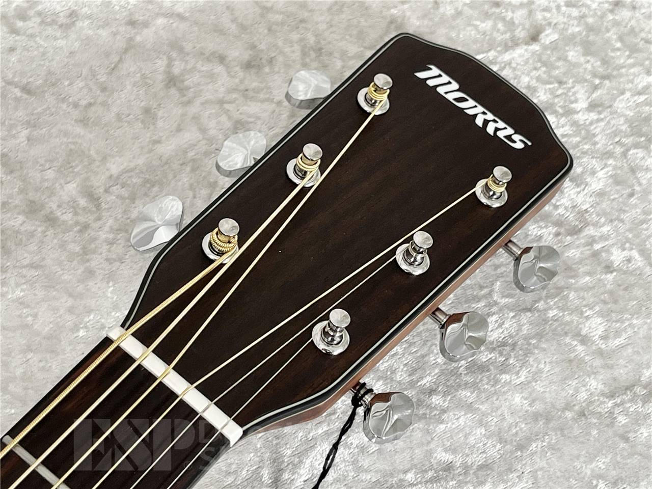 【即納可能】Morris(モーリス) M-1 NAT ナチュラル (アコースティックギター) お茶の水駅前店・別館 - 6