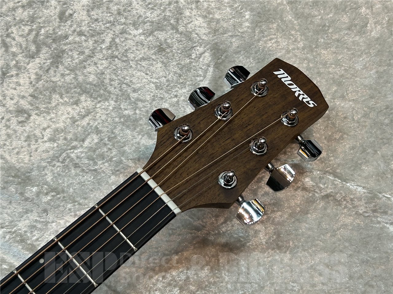 【即納可能】Morris M-025 (Honey Sunburst) 広島店 - 4