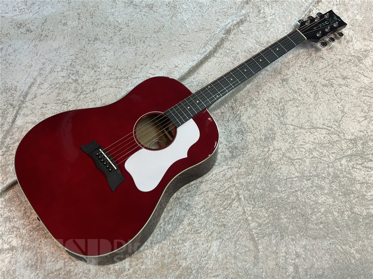 【即納可能】Morris G-021E (Wine Red) 広島店