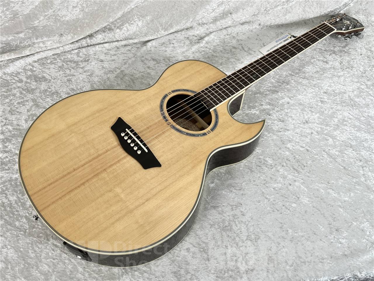 【即納可能】Washburn G20SCE（エレクトリックアコースティックギター） お茶の水駅前店・別館