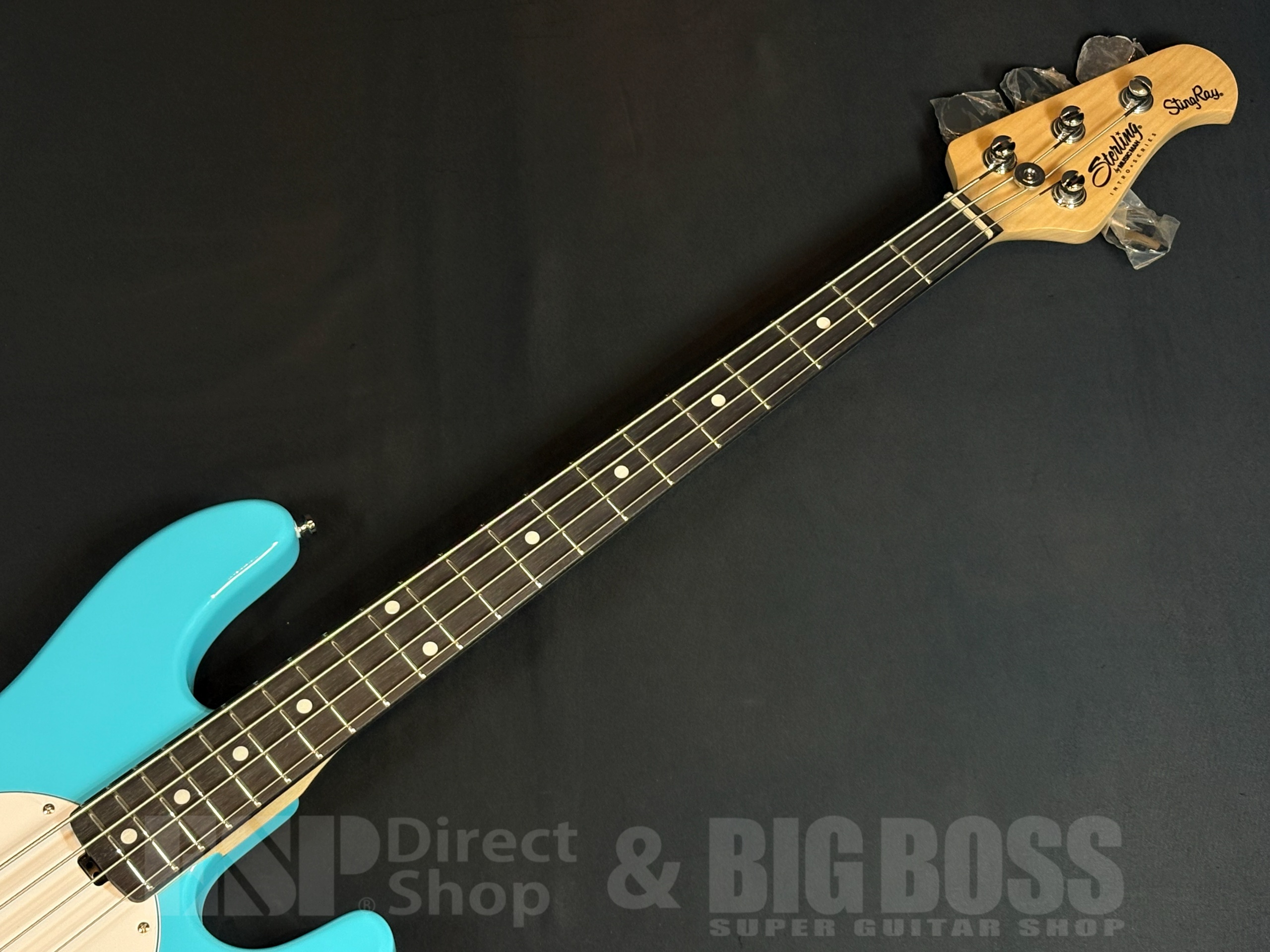 【商品情報】Sterling by MUSIC MAN RAY2 Electric Blue 大阪店 - 3