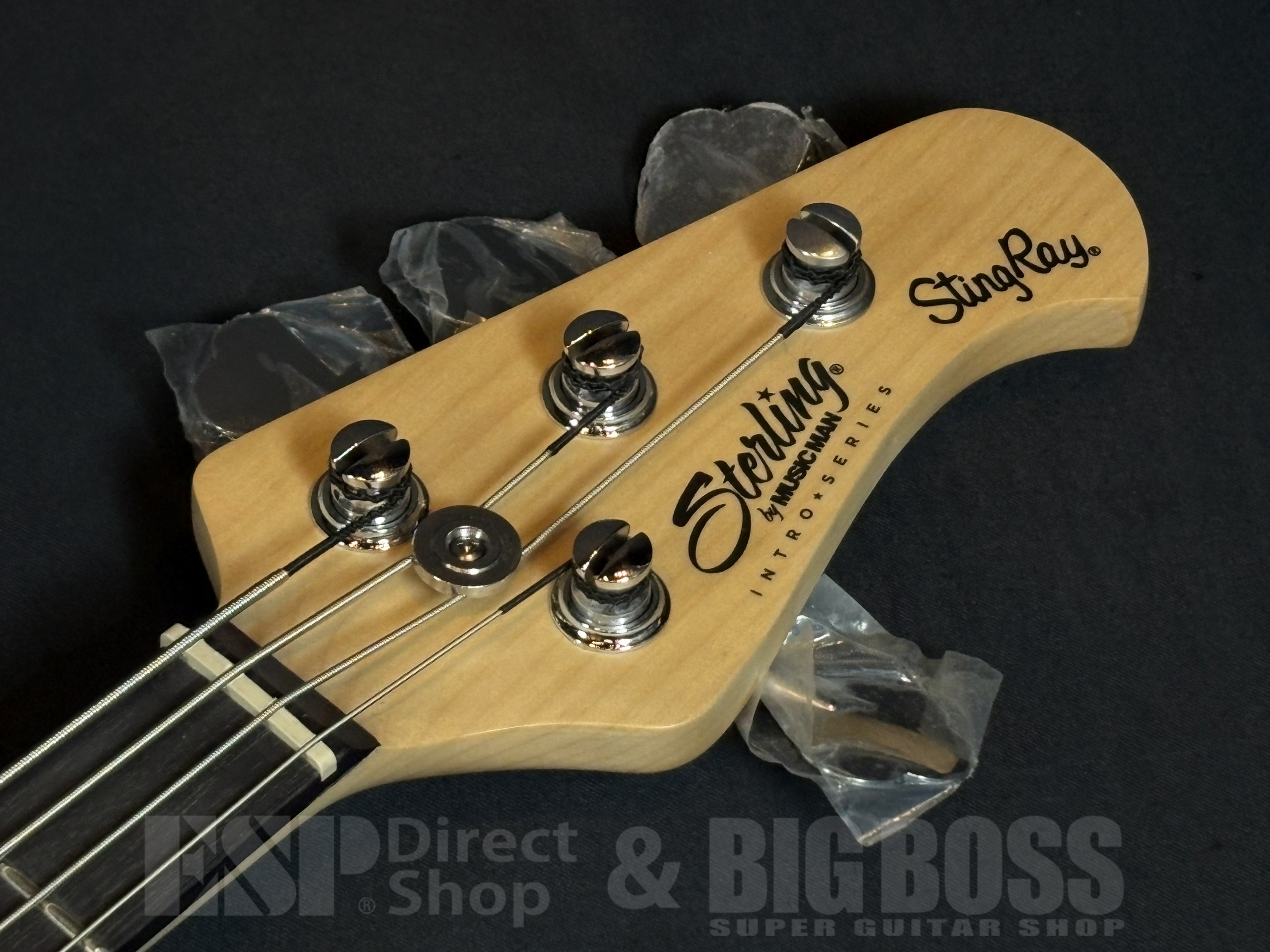 【商品情報】Sterling by MUSIC MAN RAY2 Electric Blue 大阪店 - 4