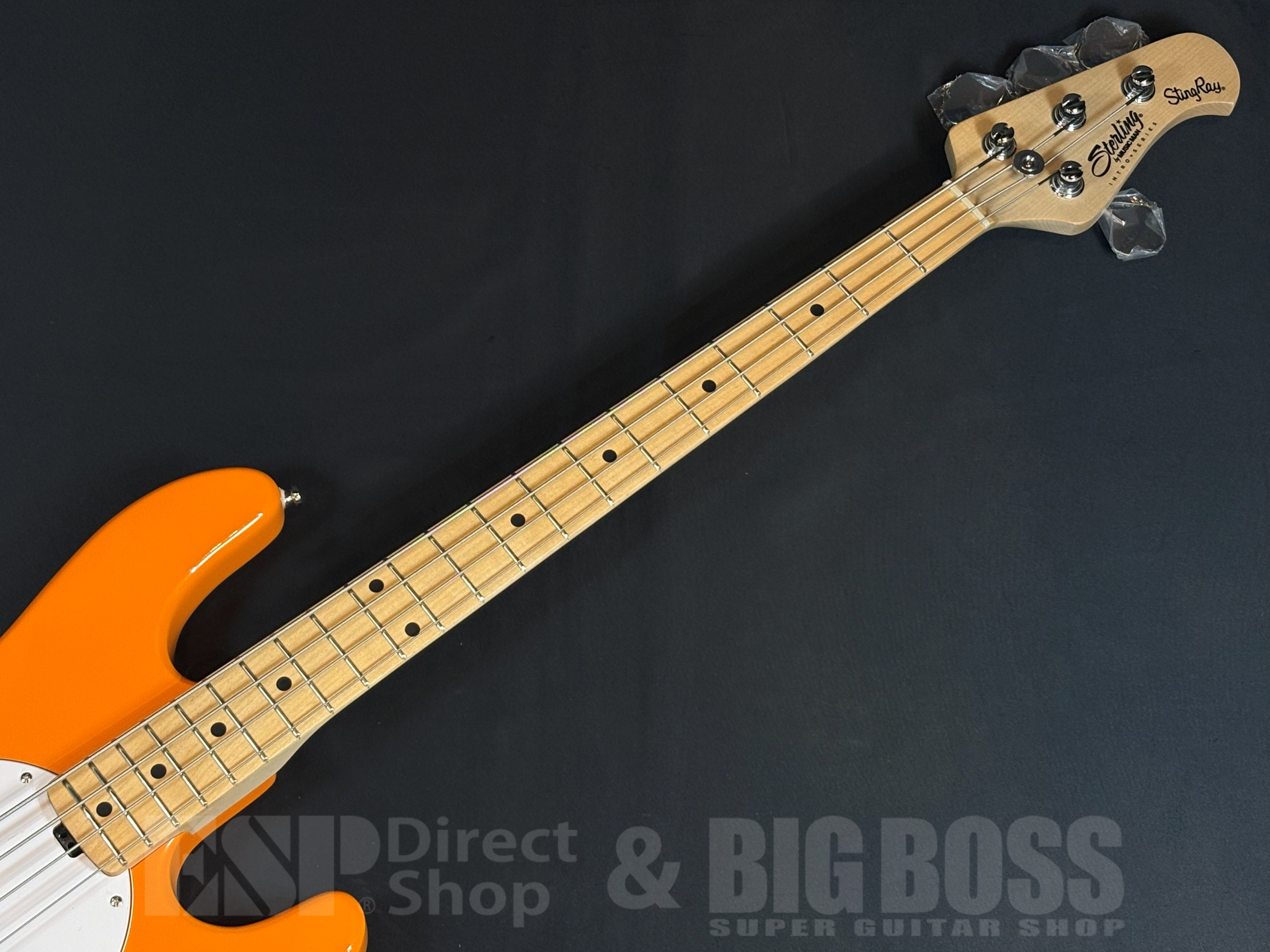 【商品情報】Sterling by MUSIC MAN RAY2 Sunrise Orange 大阪店 - 3