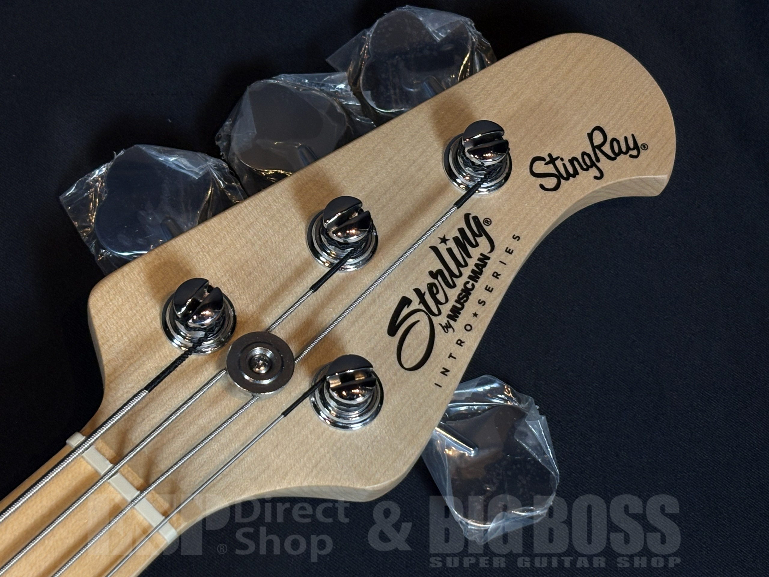 【商品情報】Sterling by MUSIC MAN RAY2 Sunrise Orange 大阪店 - 4