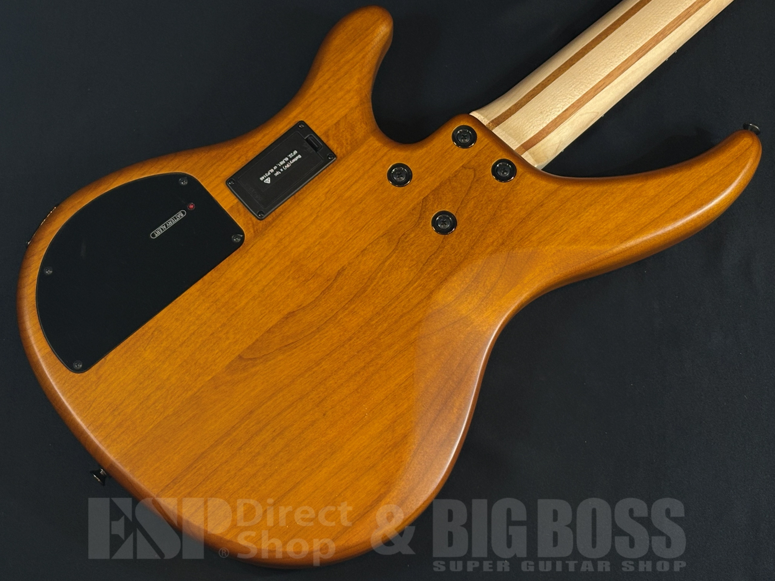 【即納可能】YAMAHA (ヤマハ) TRBX604FM MAM 大阪店 - 7