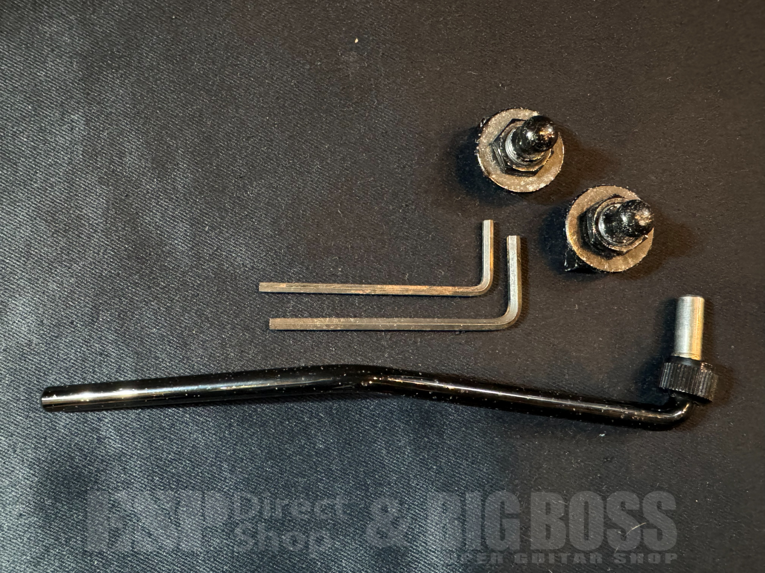 【即納可能/中古品】ESP (イーエスピー) REINDEER See Thru Black 大阪店 - 15