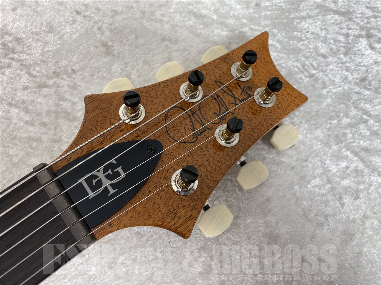 【即納可能】Paul Reed Smith(ポールリードスミス/PRS) DGT Birds (Faded Blue Jean) (2026年製 S/N 0420499) - 5