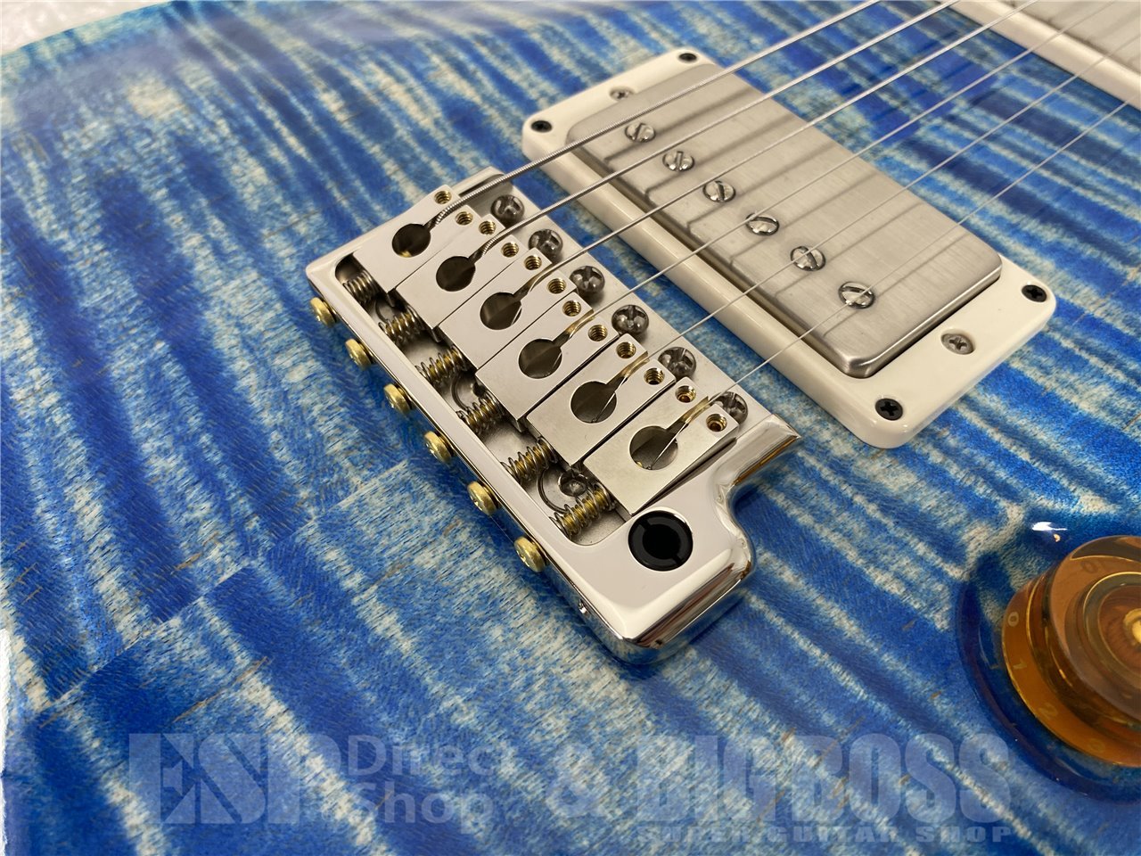 【即納可能】Paul Reed Smith(ポールリードスミス/PRS) DGT Birds (Faded Blue Jean) (2026年製 S/N 0420499) - 8