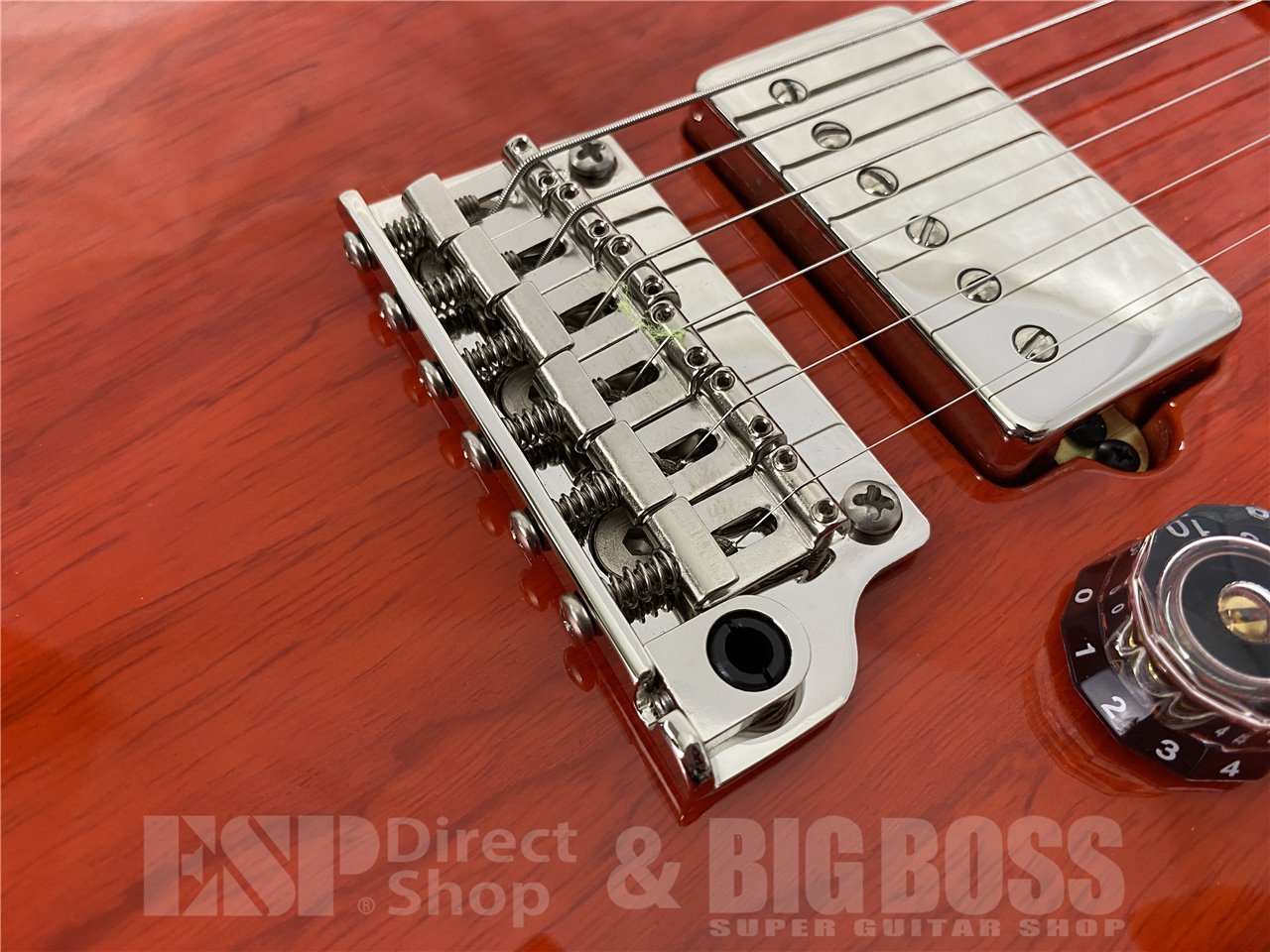 【即納可能】Paul Reed Smith(ポールリードスミス/PRS) Fiore HH (Amaryllis) (2026年製 S/N 0423416) - 8