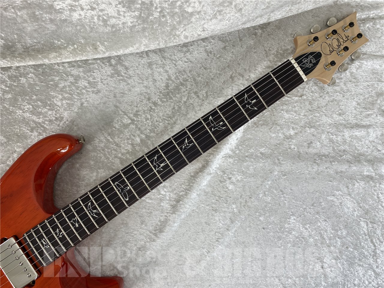 【即納可能】Paul Reed Smith(ポールリードスミス/PRS) Fiore HH (Amaryllis) (2026年製 S/N 0423416) - 6