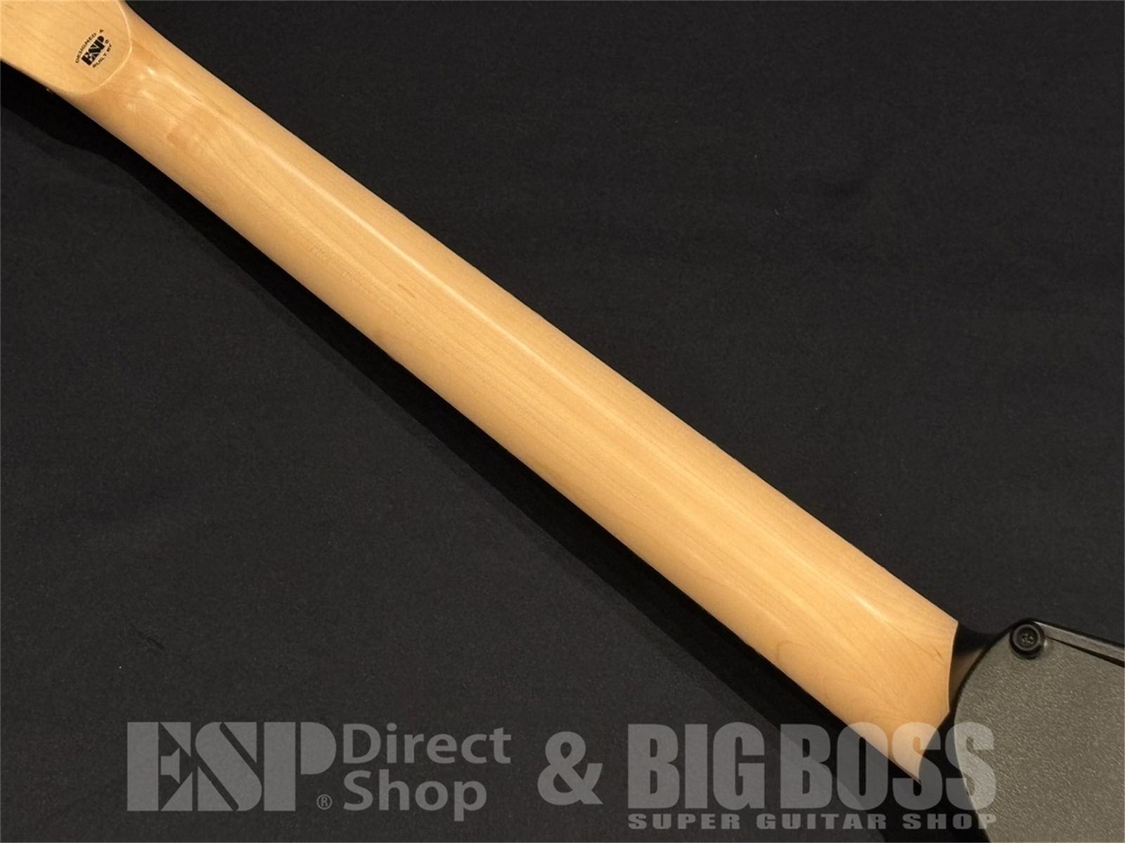 【即納可能】EDWARDS (エドワーズ) E-ALEXI BLACKY (Alexi Laiho/BODOM AFTER MIDNIGHT) 【チョイキズ特価】 京都店 - 10