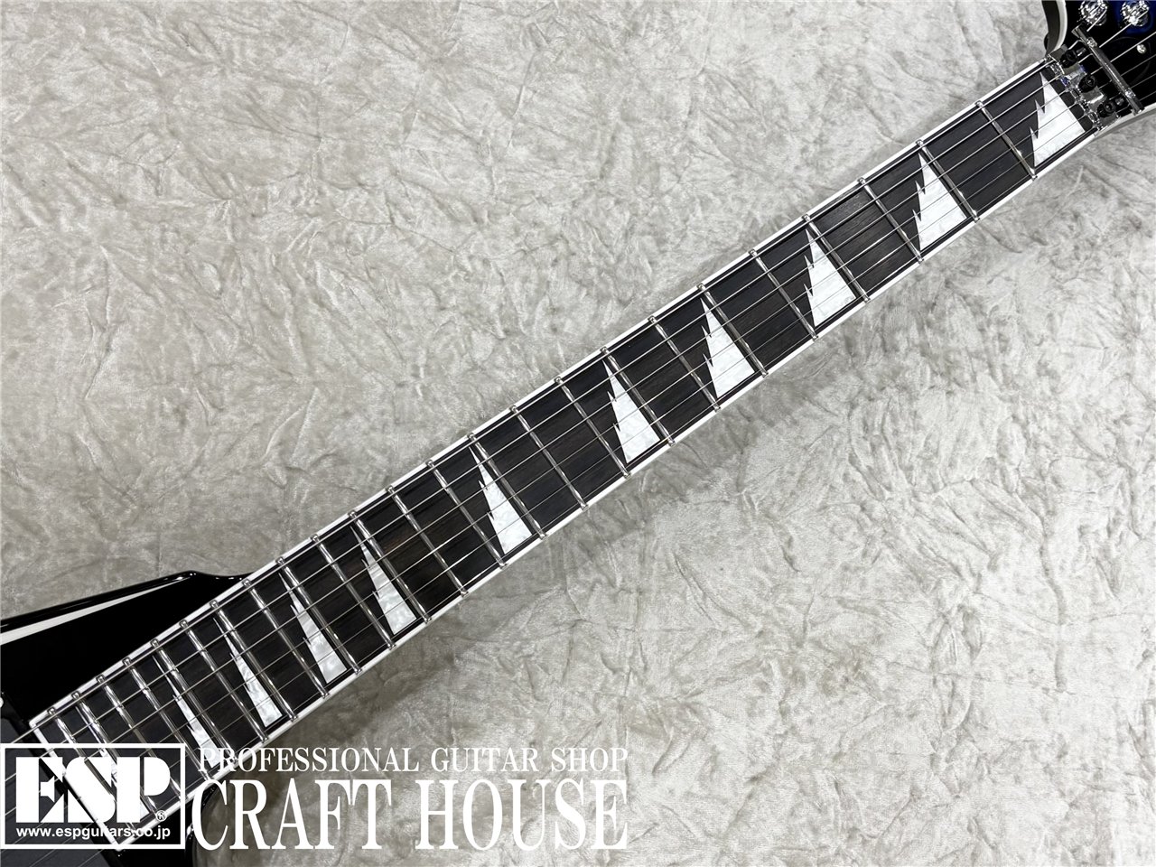 【即納可能】E-II SV / Black w/White Stripes 渋谷店 - 3