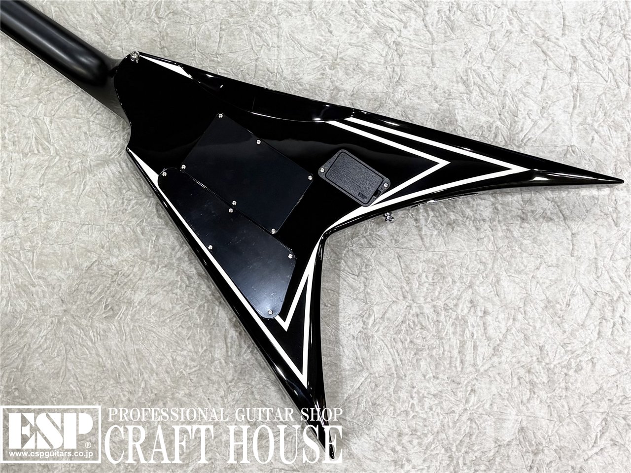 【即納可能】E-II SV / Black w/White Stripes 渋谷店 - 6