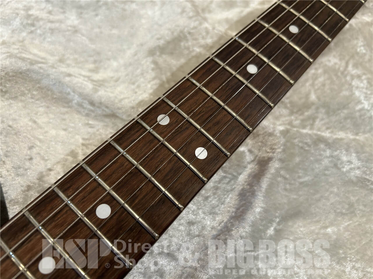 【即納可能】Tokai (トーカイ) ATE-101G / See Through Brown 仙台店 - 4