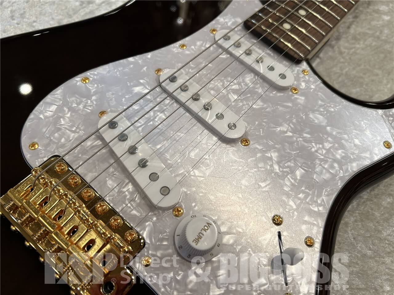 【即納可能】Tokai (トーカイ) AST-101G / See Through Brown 仙台店 - 3