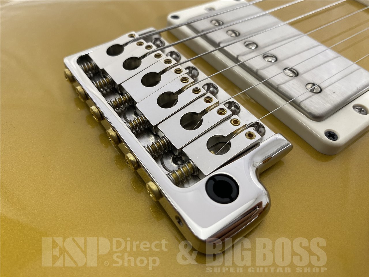 【即納可能】Paul Reed Smith(ポールリードスミス/PRS) DGT Birds / DGT Gold Top (2025年製 S/N 0410285) - 5