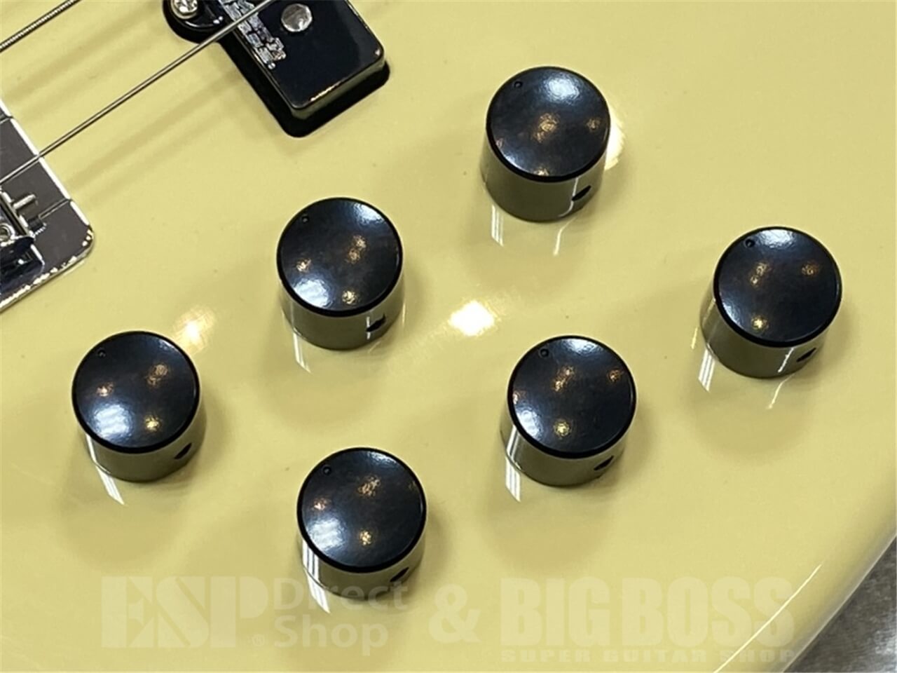 【即納可能】Markbass MAK-B/GV5/C-M CREAM GWS - 5