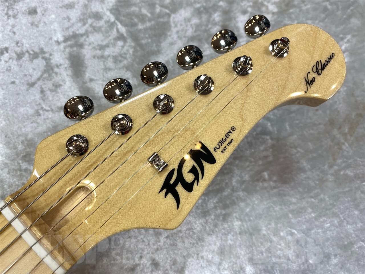 【即納可能】FUJIGEN(FGN) NTE100MAH-SBB GWS - 7