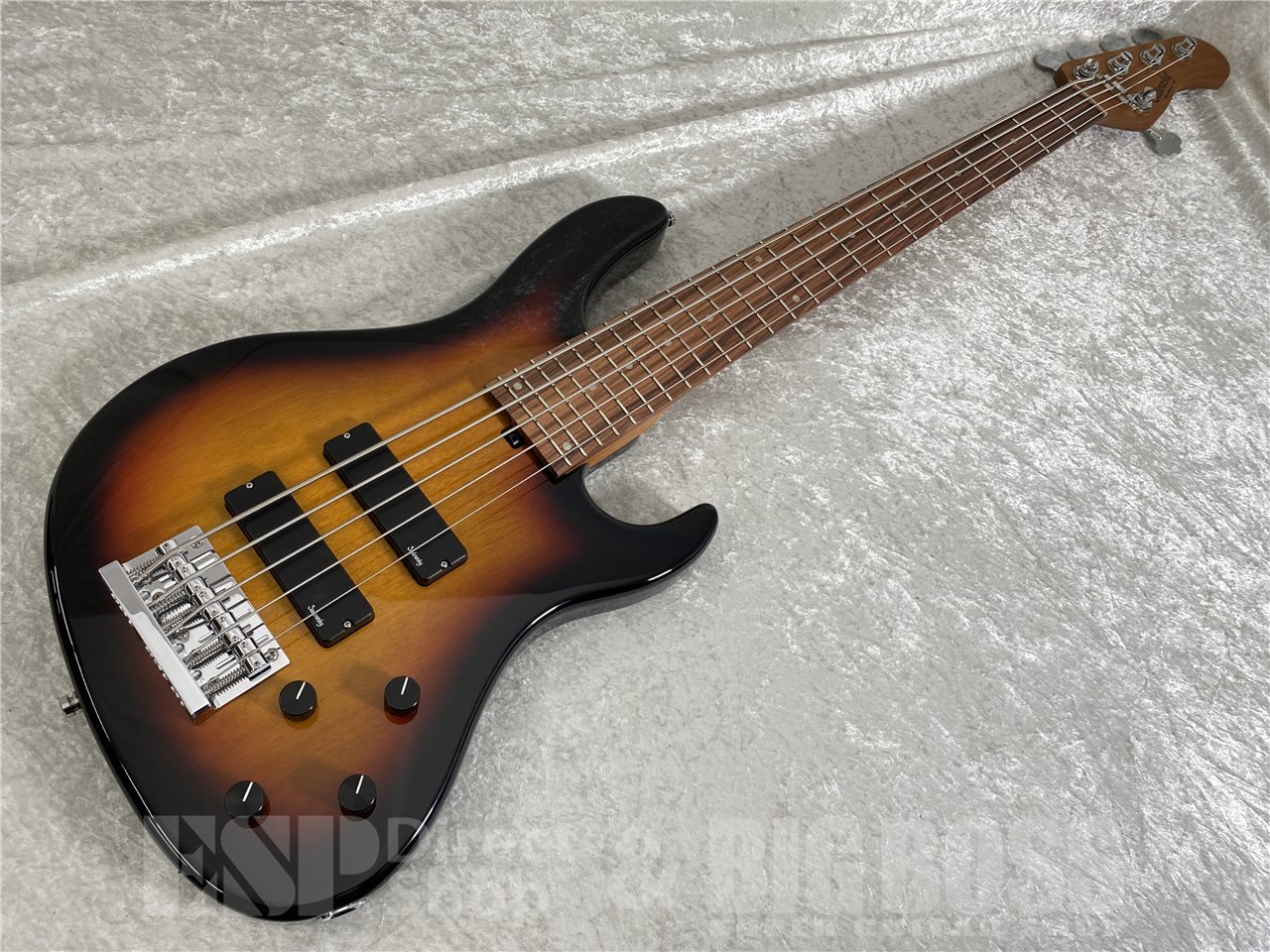 【即納可能】Sadowsky(サドウスキー) MetroExpress MX24 MS5 Morado Fingerboard / Tabaco Sunburst Transparent お茶の水駅前店(東京)