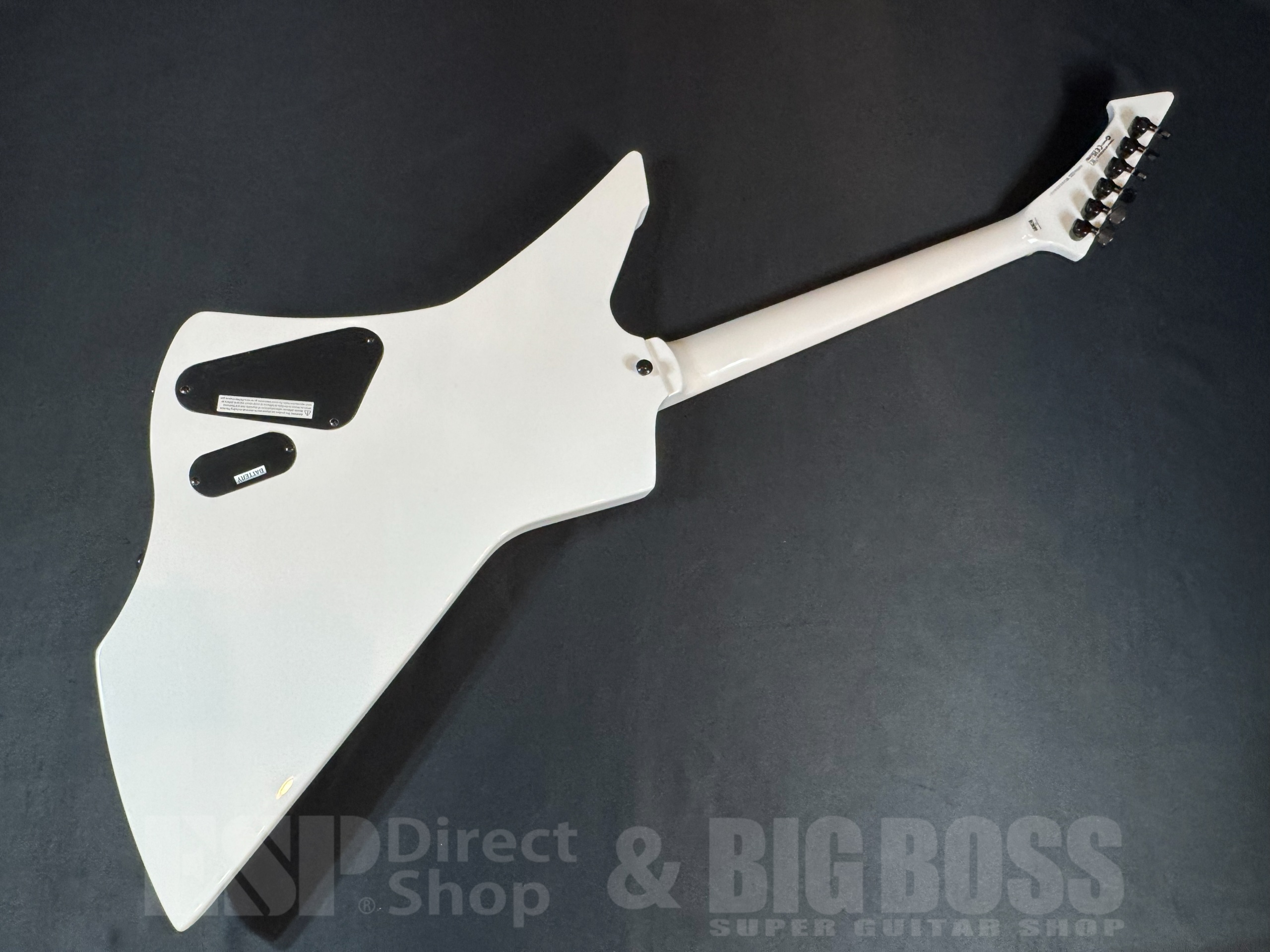 【即納可能】LTD(エルティーディー) SNAKEBYTE / Snow White (METALLICA James Hetfieldモデル) 大阪店 - 6