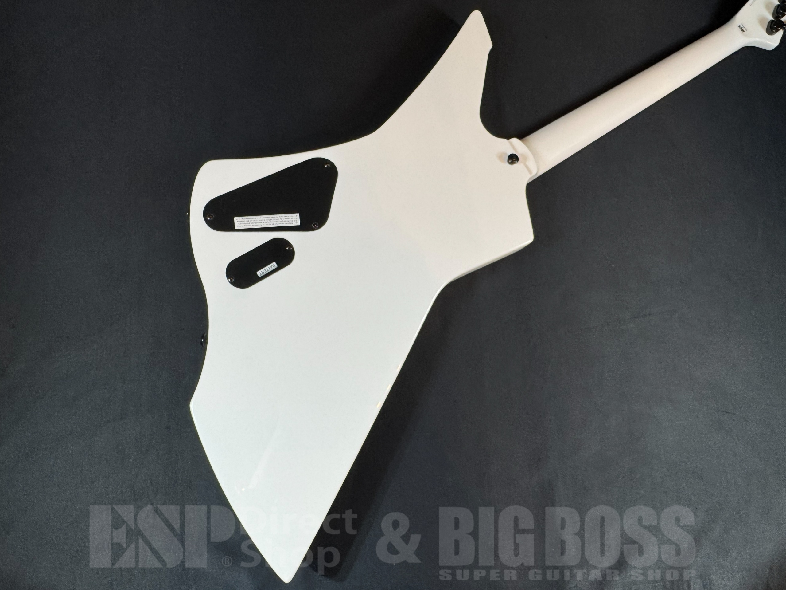 【即納可能】LTD(エルティーディー) SNAKEBYTE / Snow White (METALLICA James Hetfieldモデル) 大阪店 - 7