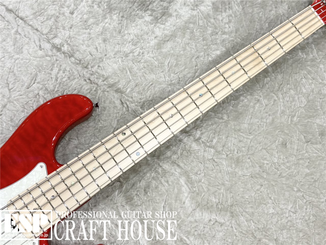 【即納可能】 STELLA GEAR Bardic-DL / See Thru Fiesta Red　渋谷店 - 3