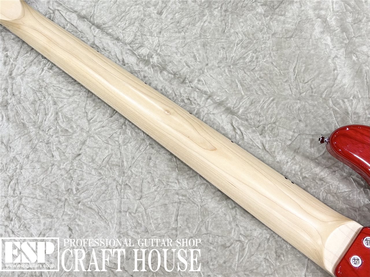 【即納可能】 STELLA GEAR Bardic-DL / See Thru Fiesta Red　渋谷店 - 7