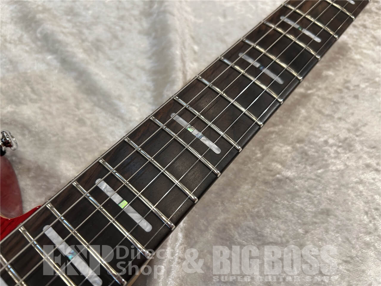 Sire (サイアー) T7TM / See Through Red 仙台店 - 4