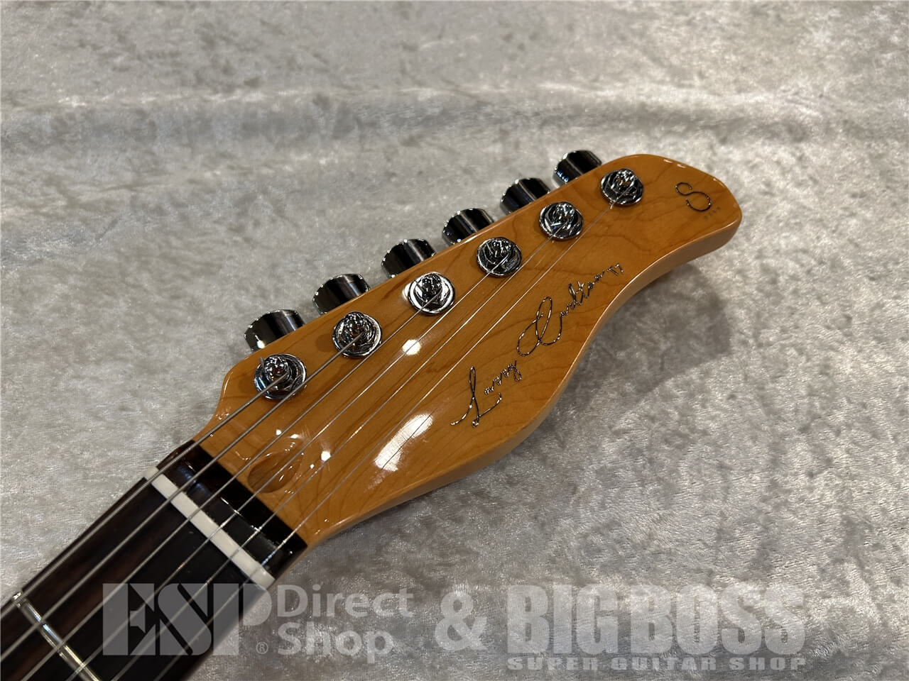 Sire (サイアー) T7TM / See Through Red 仙台店 - 5