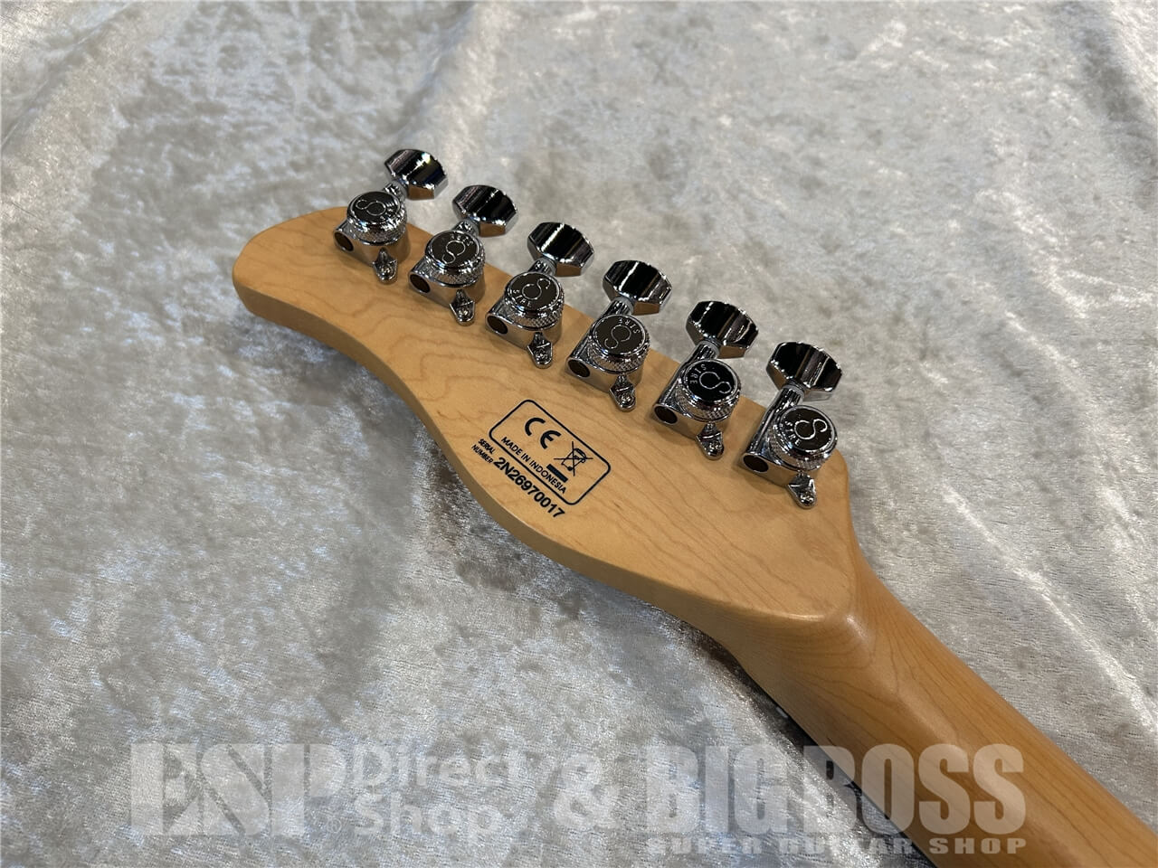 Sire (サイアー) T7TM / See Through Red 仙台店 - 8