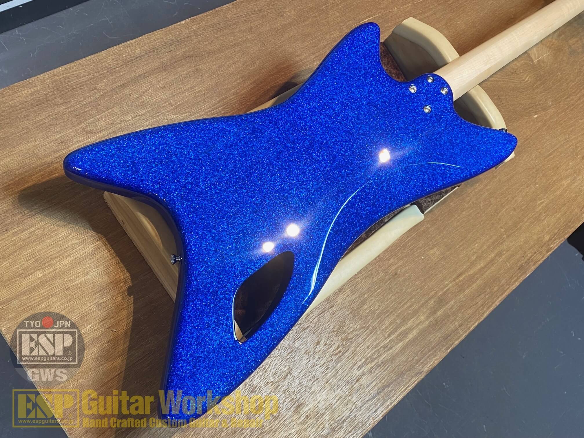 Edwards E-RM-BLAIKUTRON IKUZONEモデル 馬場育三